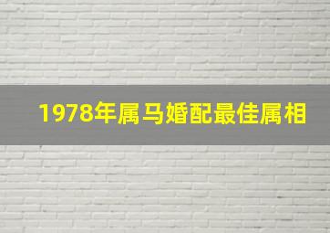 1978年属马婚配最佳属相