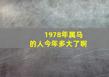 1978年属马的人今年多大了啊