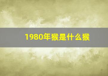 1980年猴是什么猴