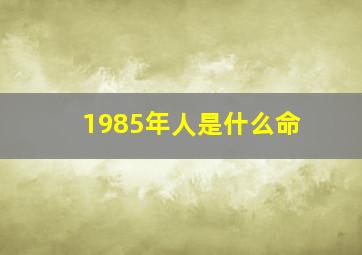 1985年人是什么命