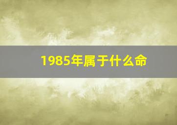 1985年属于什么命