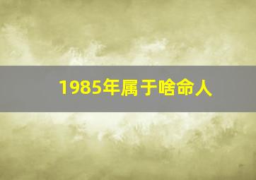 1985年属于啥命人