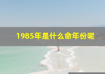 1985年是什么命年份呢