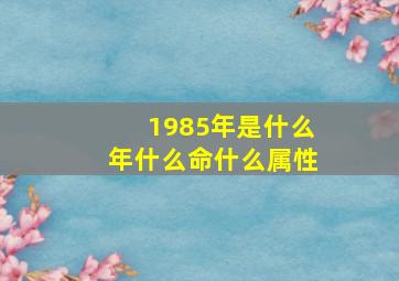 1985年是什么年什么命什么属性