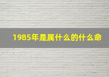 1985年是属什么的什么命