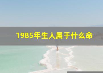 1985年生人属于什么命