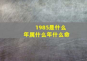 1985是什么年属什么年什么命