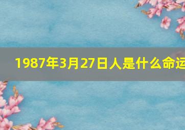 1987年3月27日人是什么命运