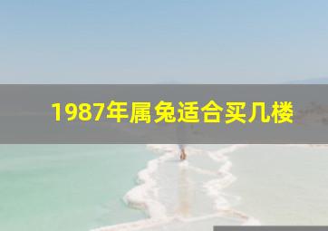 1987年属兔适合买几楼