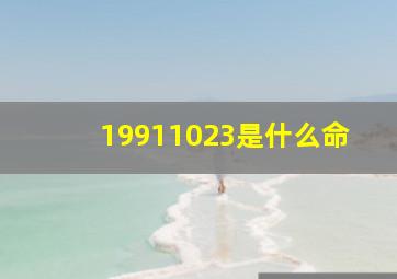 19911023是什么命