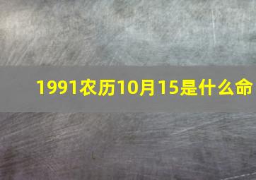 1991农历10月15是什么命