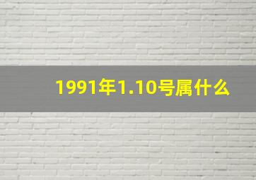 1991年1.10号属什么