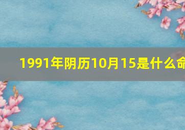 1991年阴历10月15是什么命