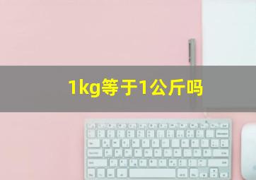 1kg等于1公斤吗