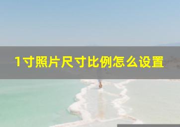 1寸照片尺寸比例怎么设置