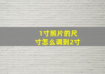 1寸照片的尺寸怎么调到2寸