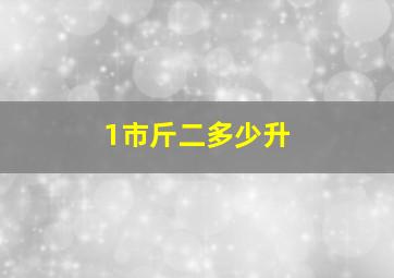 1市斤二多少升