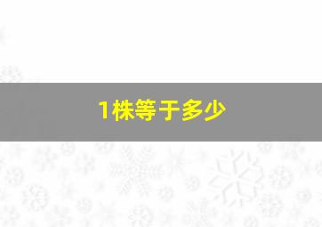 1株等于多少