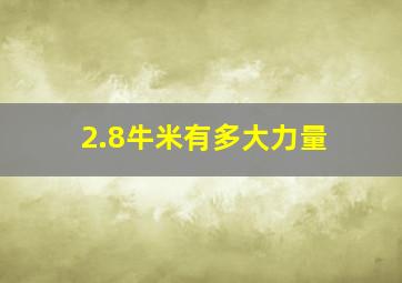 2.8牛米有多大力量