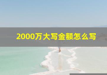 2000万大写金额怎么写