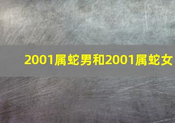 2001属蛇男和2001属蛇女