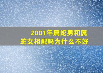 2001年属蛇男和属蛇女相配吗为什么不好