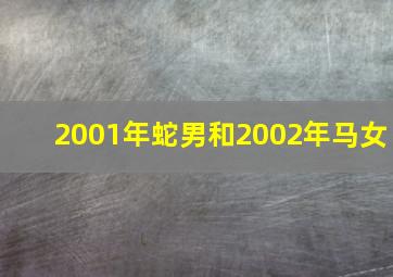 2001年蛇男和2002年马女