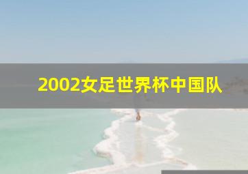 2002女足世界杯中国队