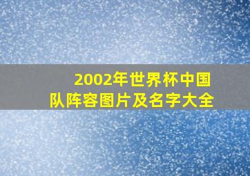 2002年世界杯中国队阵容图片及名字大全