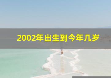 2002年出生到今年几岁