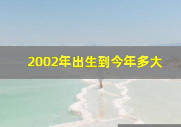 2002年出生到今年多大