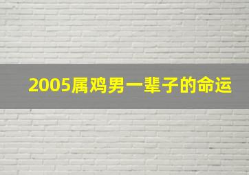 2005属鸡男一辈子的命运