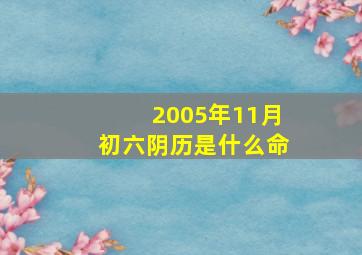 2005年11月初六阴历是什么命