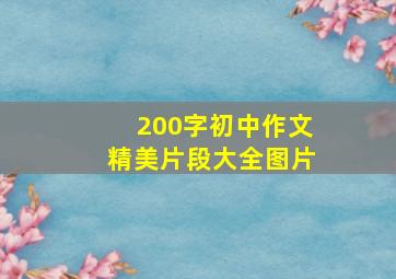 200字初中作文精美片段大全图片