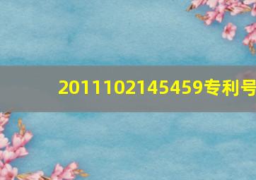 2011102145459专利号