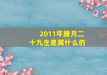 2011年腊月二十九生是属什么的