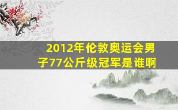 2012年伦敦奥运会男子77公斤级冠军是谁啊