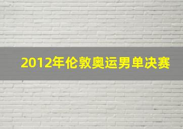 2012年伦敦奥运男单决赛