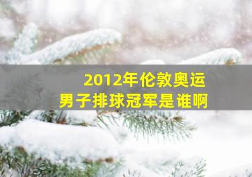 2012年伦敦奥运男子排球冠军是谁啊