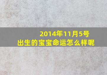 2014年11月5号出生的宝宝命运怎么样呢