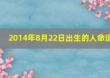 2014年8月22日出生的人命运