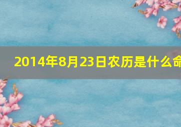 2014年8月23日农历是什么命