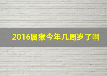 2016属猴今年几周岁了啊