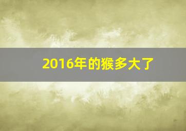 2016年的猴多大了