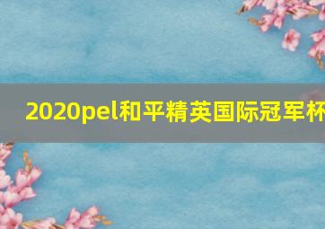 2020pel和平精英国际冠军杯