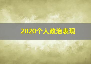 2020个人政治表现