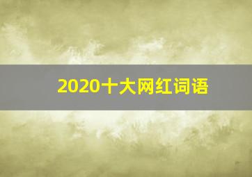 2020十大网红词语