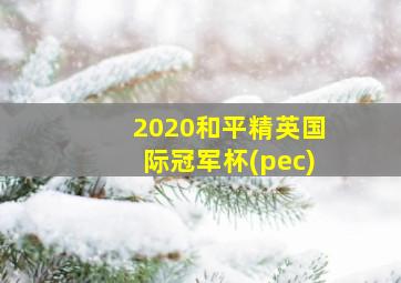 2020和平精英国际冠军杯(pec)