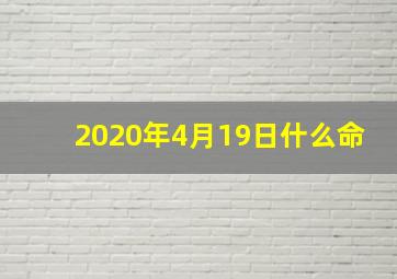 2020年4月19日什么命