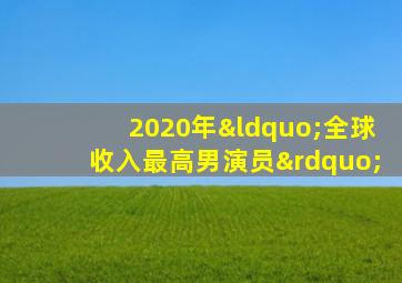 2020年“全球收入最高男演员”